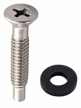 Pentair 619355Z Stainless Steel Pilot Screw with Captive Gum Washer, Pool Light